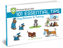 101 Essential Dog Behavior Training Tips
