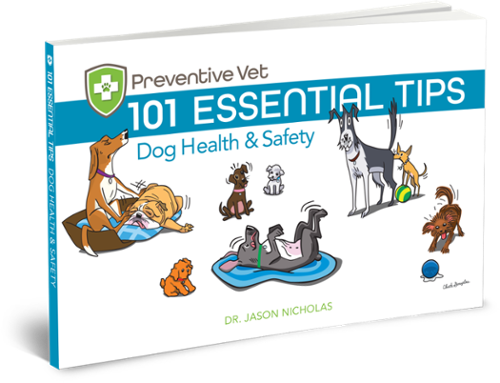 Dog health and safety tips book