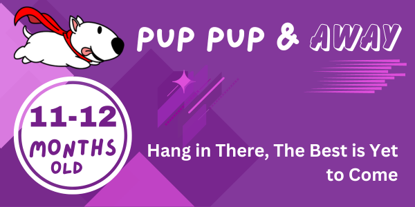 47-48 week old puppy