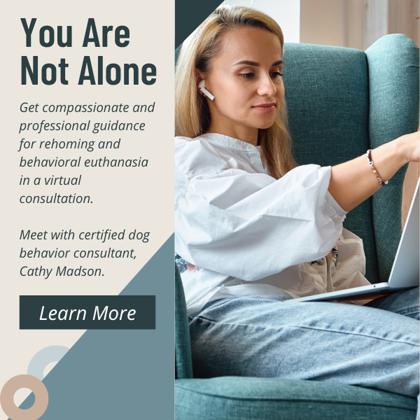 Help for behavioral euthanasia or rehoming decisions