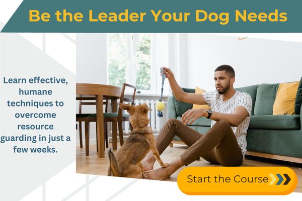 Be the leader your dog needs with our online resource guarding course