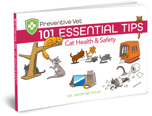 cat health and safety tips book
