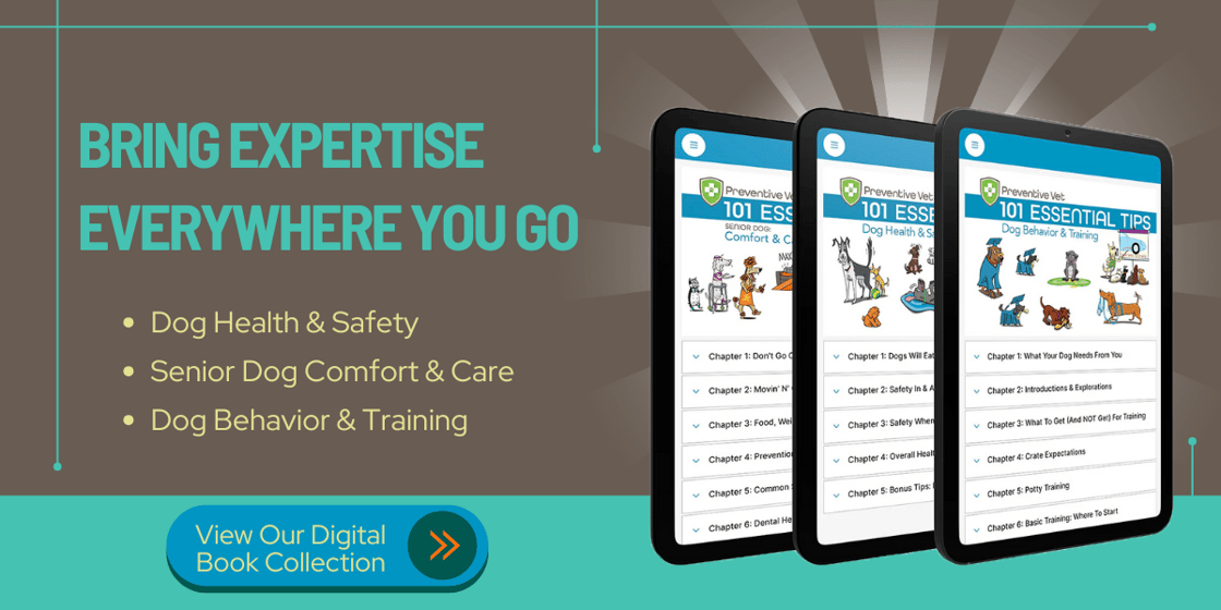 bring expertise everywhere you go - yellow (1)