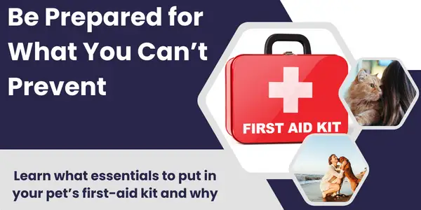 Pet first-aid kit essentials