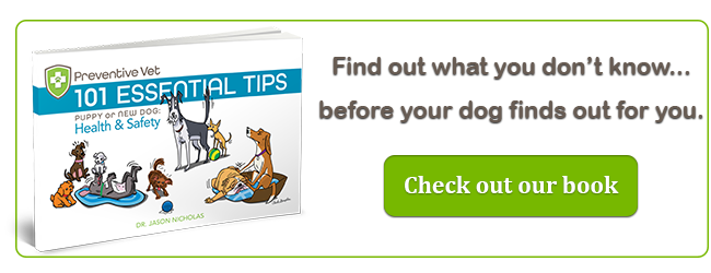 101 Essential Dog Health and Safety Tips