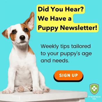 Did you hear we have a puppy newsletter! Sign up!