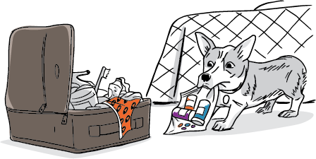 dangers of guests and suitcases