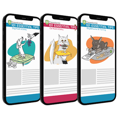 Digital Book Bundles