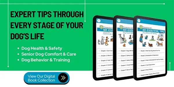 expert tips for every stage of your dogs life