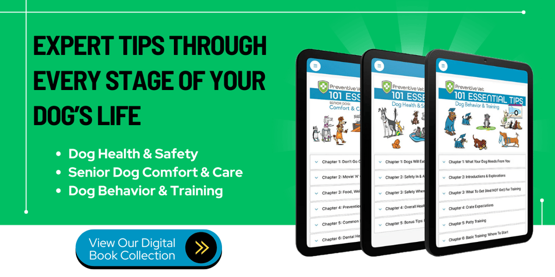 expert tips through every stage of your dogs life