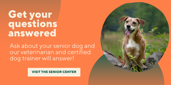 Get your questions answered visit senior center