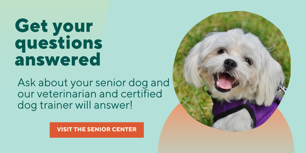 Get your questions answered