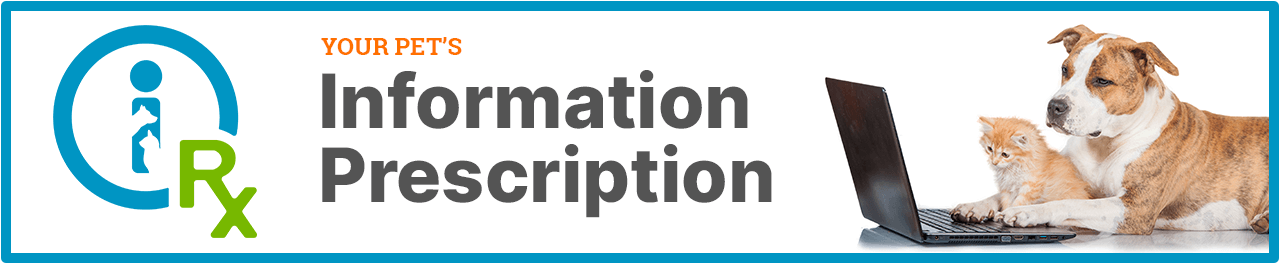 InfoRx Banner-English