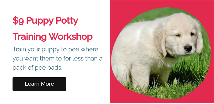 $9 Puppy Potty Training Workshop Train your puppy to pee where you want them to for less than a pack of pee pads. &nbsp;