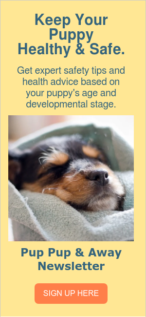 Keep Your Puppy Healthy & Safe. &nbsp; Get expert safety tips and health advice based on your puppy's age and developmental stage.