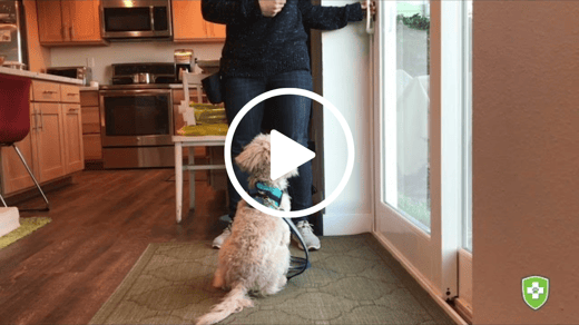 Mary Berry practicing patience at the door