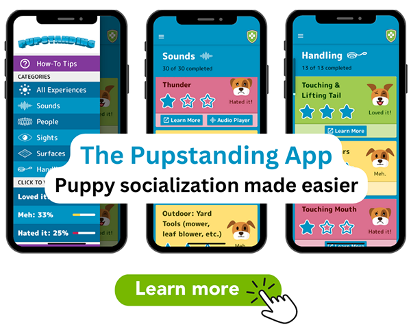 puppy socialization made easy pupstanding app
