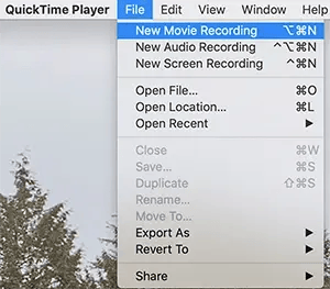 quicktime file menu
