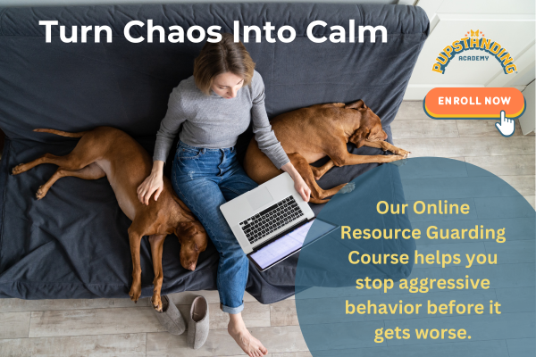 Resource Guarding Course CTA 1 12.2024