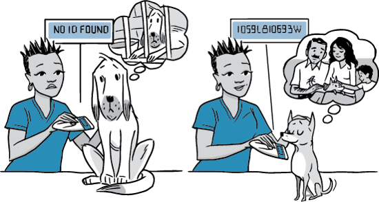 pet microchip scanner vet illustration