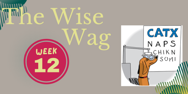 senior journey week 12 header