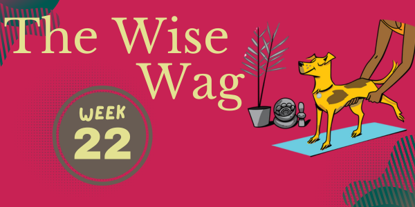 senior journey week 22 header