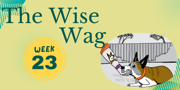 senior journey week 23 header