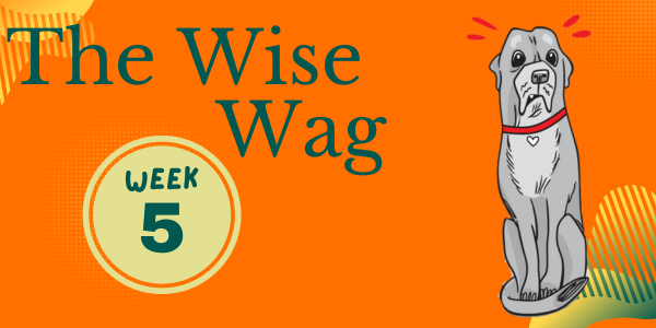 senior journey week 5 header