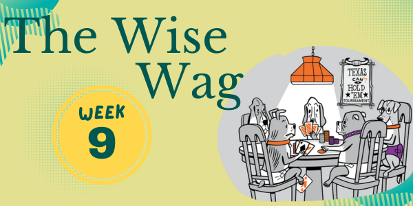 senior journey week 9 header