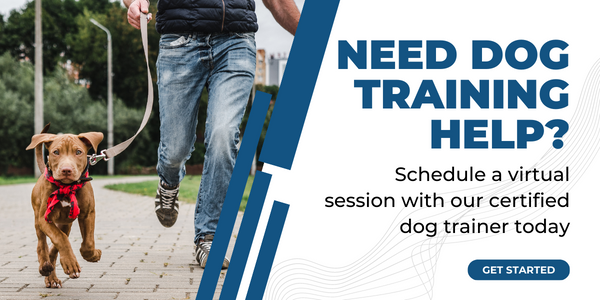 virtual dog training new ctas 1