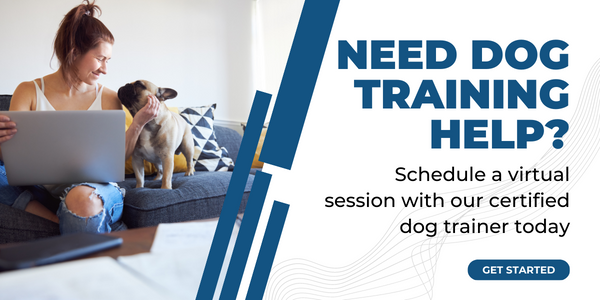 virtual dog training new ctas 2