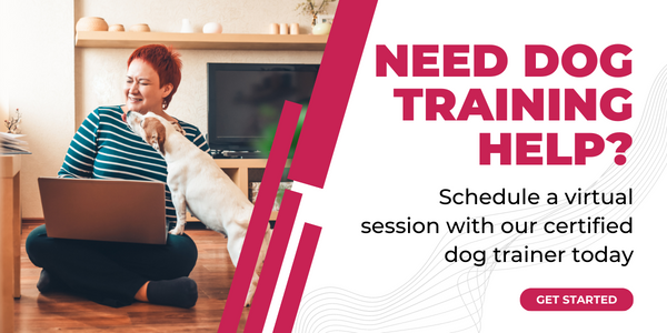 virtual dog training 